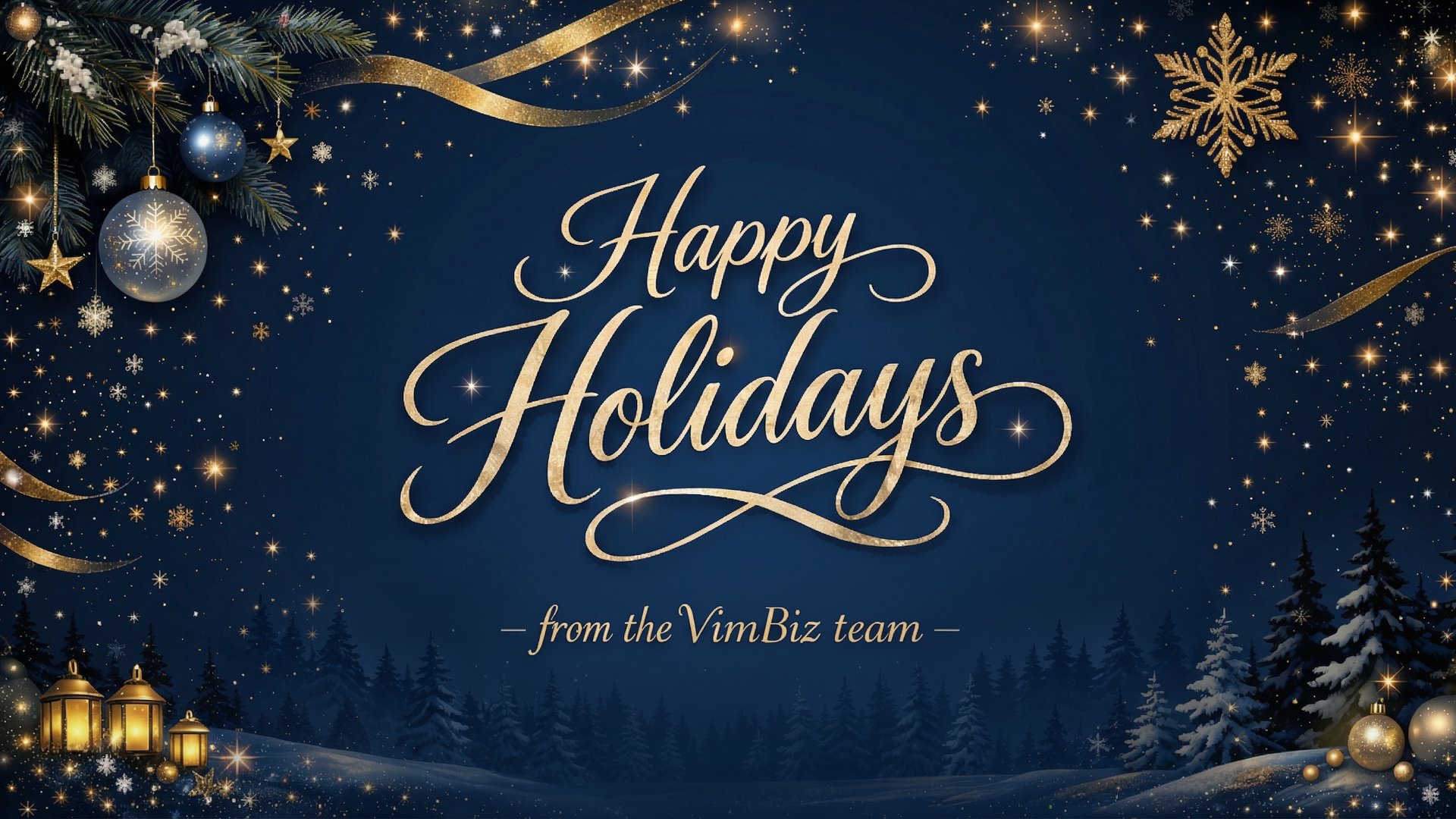 Happy Holidays - From the VimBiz team